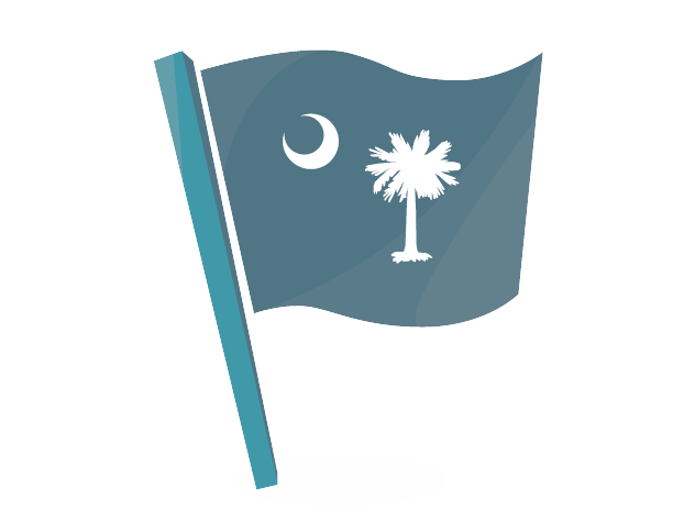 South Carolina state flag